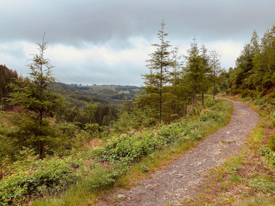 Ardennen 