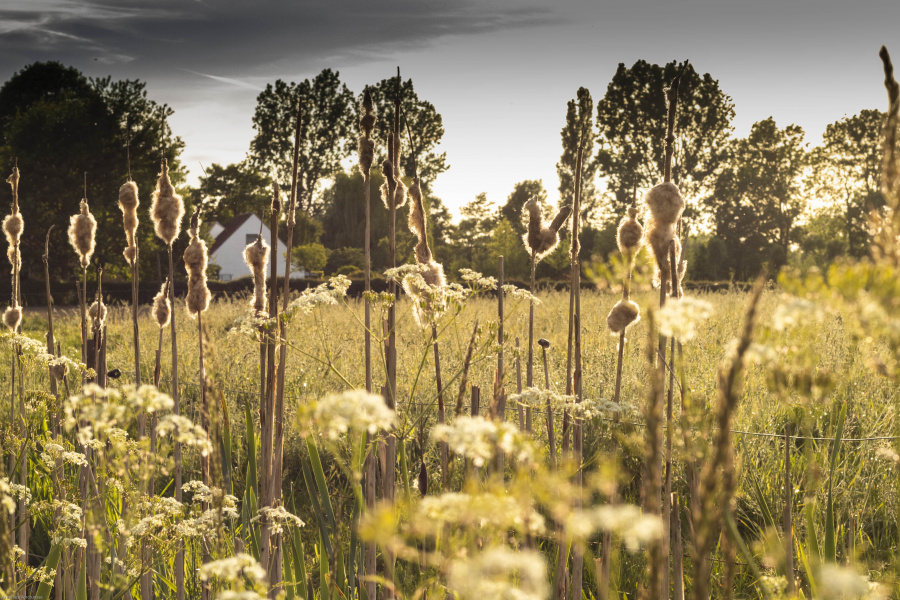 Wandelroute Oude Kalevallei