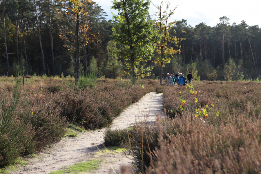 wandelen heide 