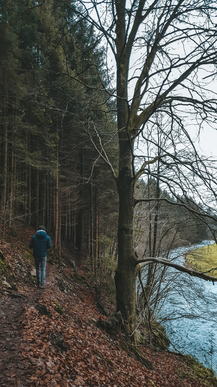 mooie wandeling malmedy