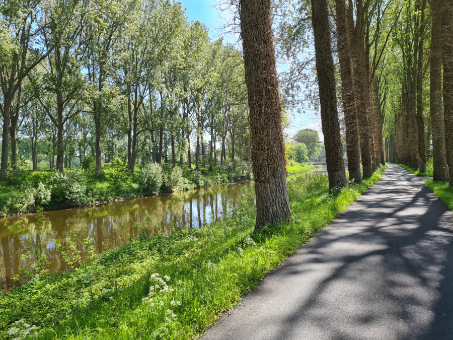 Fietsen Brugse Ommeland