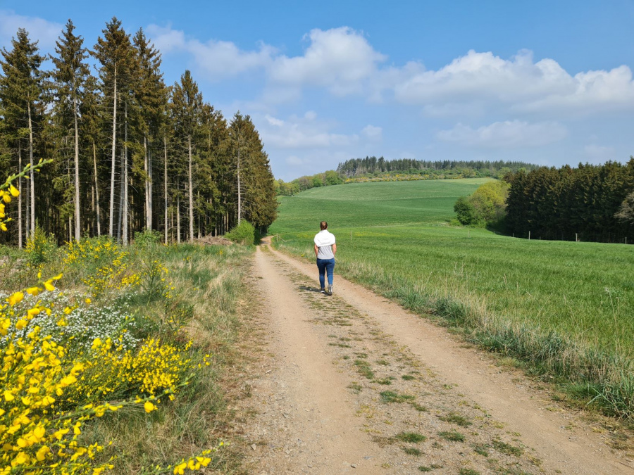 Wandelen Luxemburg