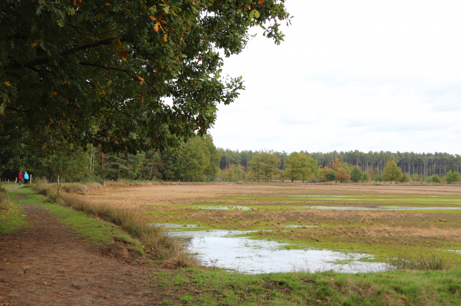 wandelen België 