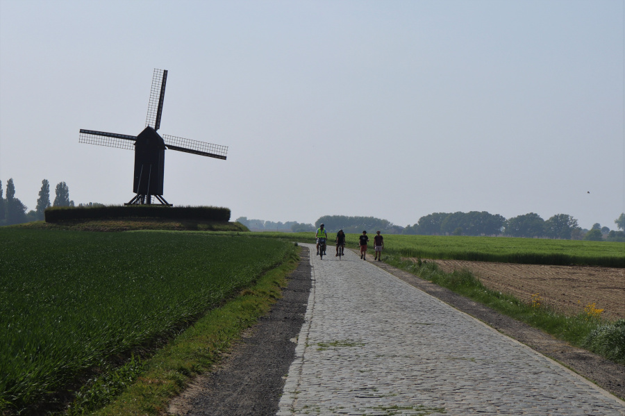 Molen