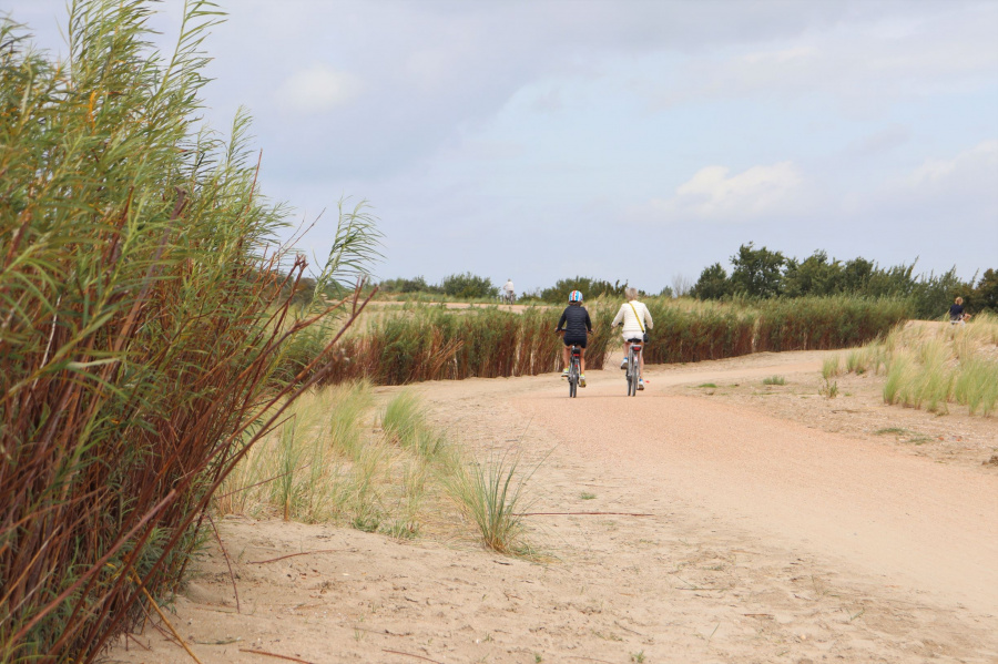 fietsen Zwin natuur park 