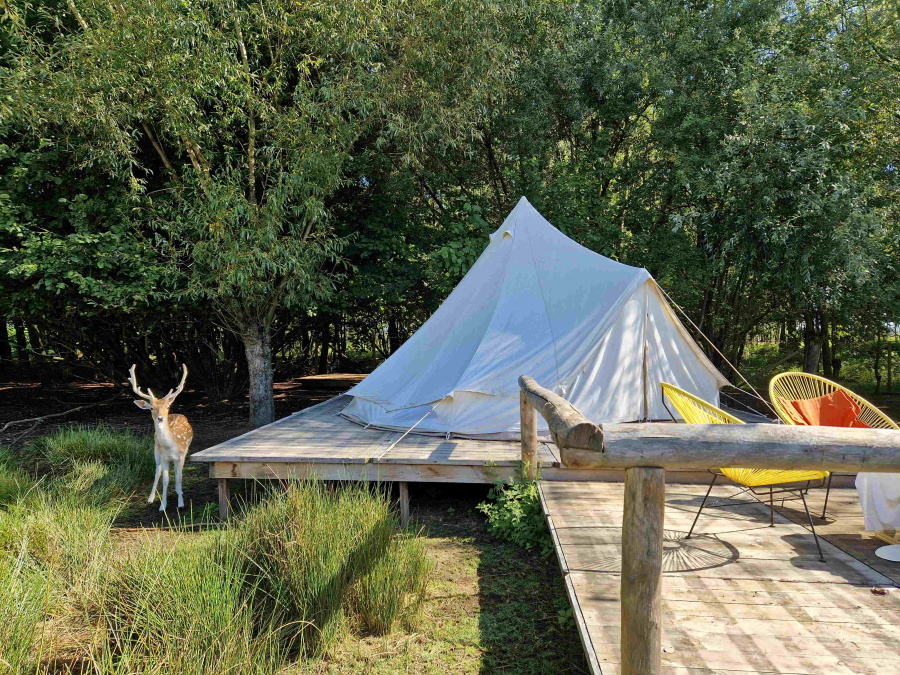 glamping Vlaanderen 