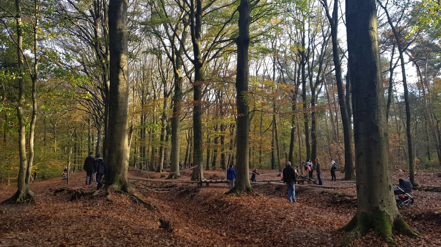 wandeling meetjesland