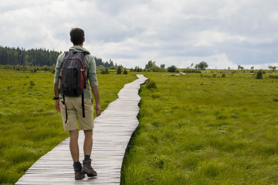 wandelen Hoge Venen 