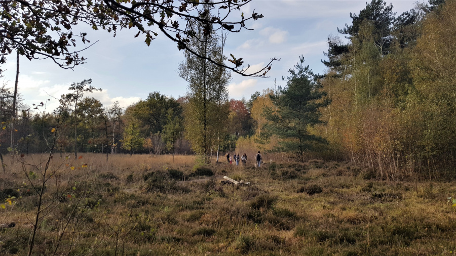 Natuur drongengoed