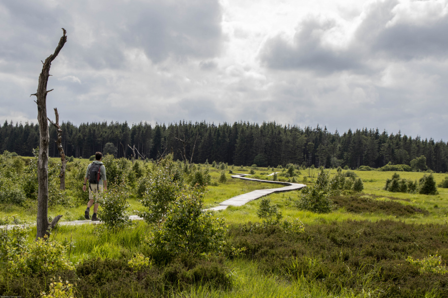 wandelen Oost België