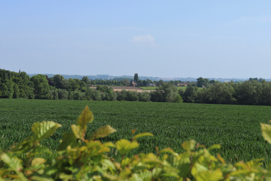 Vlaamse Ardennen 