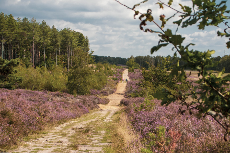 wandelen Zonhoven 