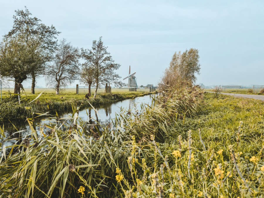 wandelen molen