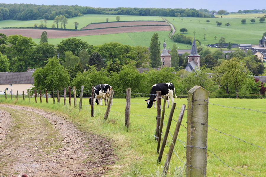 wandelen Voerstreek